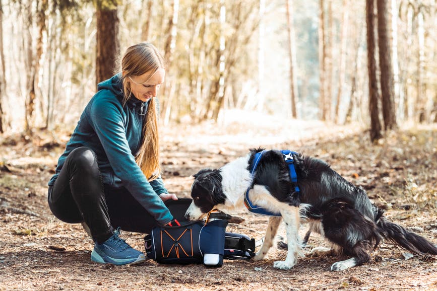 nonstopdogwear_b2b_trekking_belt_bag_trekking_belt_setting_(6)_9.jpg