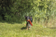 prod1000-dog_36207-2.png