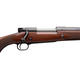 dm-aid--3ca0bcf1-c473-40d3-a105-074b4ced8513-model-70-safari-express-bolt-action-rifle-535204144-3-jpg.png