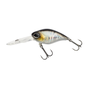 Baitfish