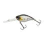 Baitfish