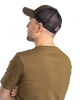 1244-135-66_Pinewood.png