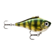 api-2000x2000,fit-new-121139.png