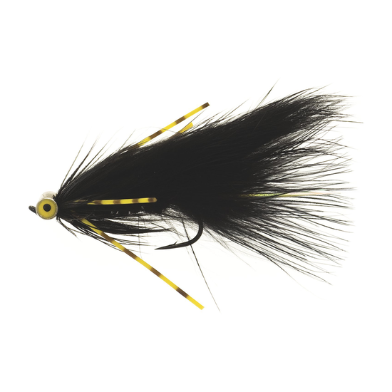 4-fairpoint-public-pim-bc-aabbe417-0c20-4f77-9b1a-8dc1f4b168fe-fl24099xx_fl00125_large.png