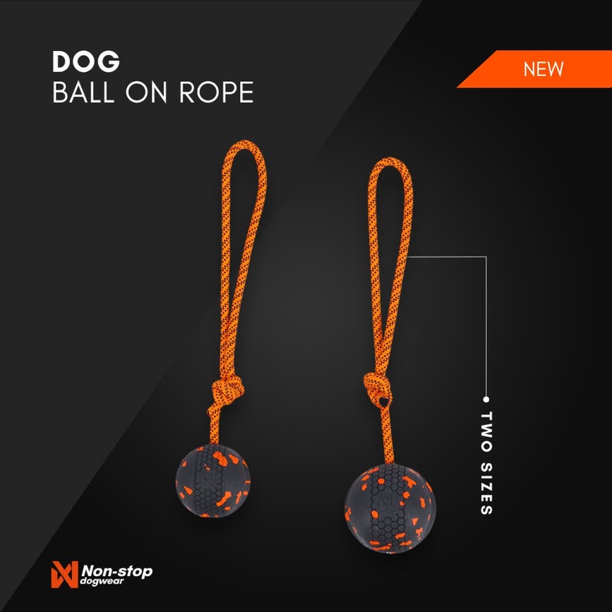 dog ball on rope post.jpg
