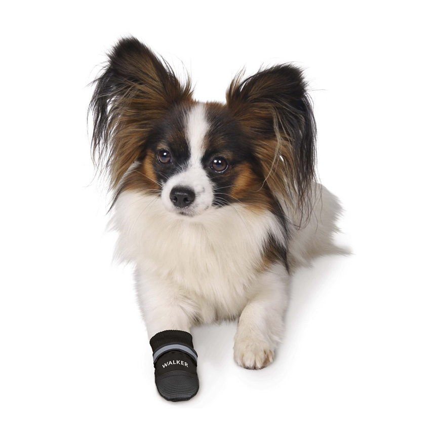 prod1000-dog_clip_19470-19472-1.png