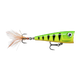 image-247222311749-image_vt8ee3vulh0k36is30g21cot42--s1536x2048-fpng-151375_swatch.png