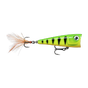 Fire Tiger