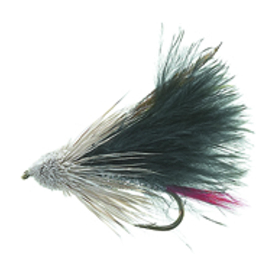 4-fairpoint-public-pim-bc-bf5305d0-3747-4090-a705-0e17106d9d77-fl20000p_fl20023_large.png