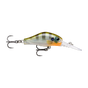 Bluegill