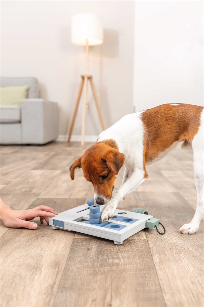 prod1000-dog_32029-7.png