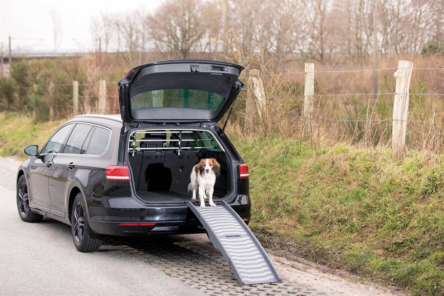 prod1000-pro_dog_39476-4.png