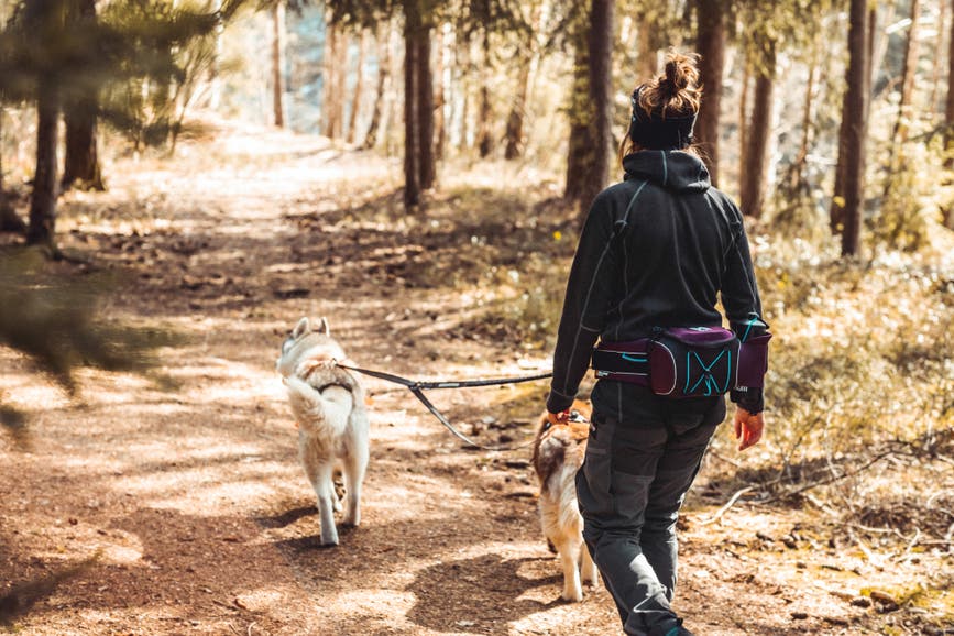 nonstopdogwear_b2b_trekking_belt_bag_trekking_belt_setting_(3)_8.jpg