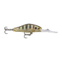 Glassy Gill UV