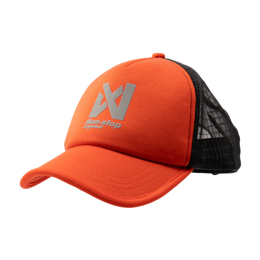 nsd_cap_1.png