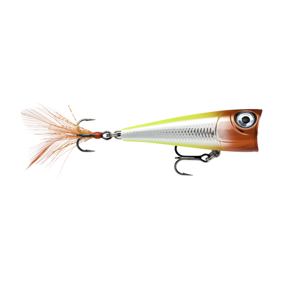 image-247222311749-image_r89j5a3ahd5hl519obaka3j311--s1536x2048-fpng-151374_swatch.png