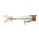 image-247222311749-image_r89j5a3ahd5hl519obaka3j311--s1536x2048-fpng-151374_swatch.png