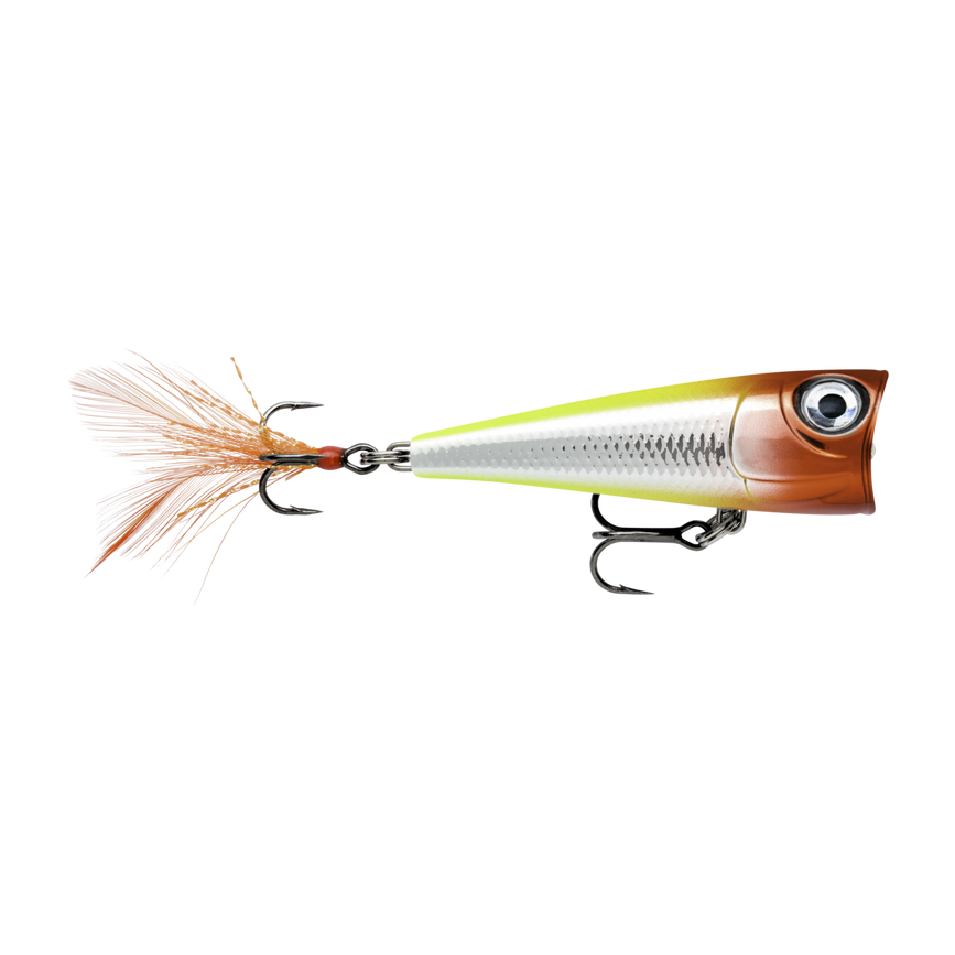 image-247222311749-image_r89j5a3ahd5hl519obaka3j311--s1536x2048-fpng-151374_swatch.png