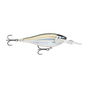 Gilded Mangrove Minnow