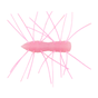 Bubble Gum
