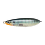 Bluegill