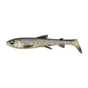 Whitefish