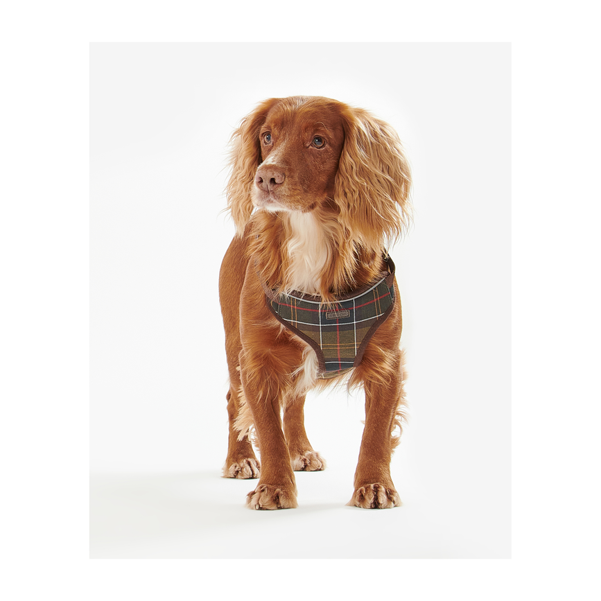 dac0011tn11_03getthelook_model.png