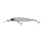 Baitfish