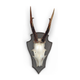 v-560807-m_2.png