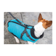 prod1000-jackrussellterrier-nieke-geschirrmantel-pontis-detail.png