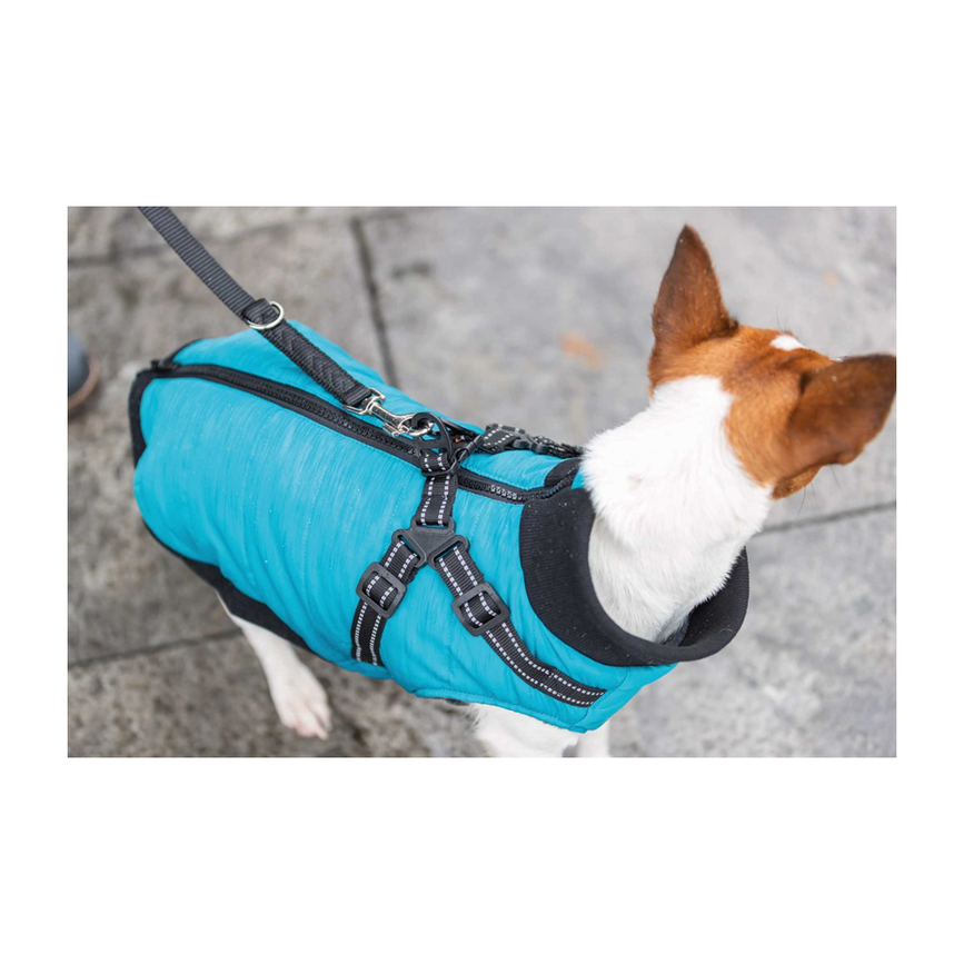 prod1000-jackrussellterrier-nieke-geschirrmantel-pontis-detail.png