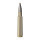user_upload-rws-bilder-produkte-munition-buechsenpatronen-patronen-2318327_rws_8x57is_evo-green_9,0g_einzelpatrone-seite.png