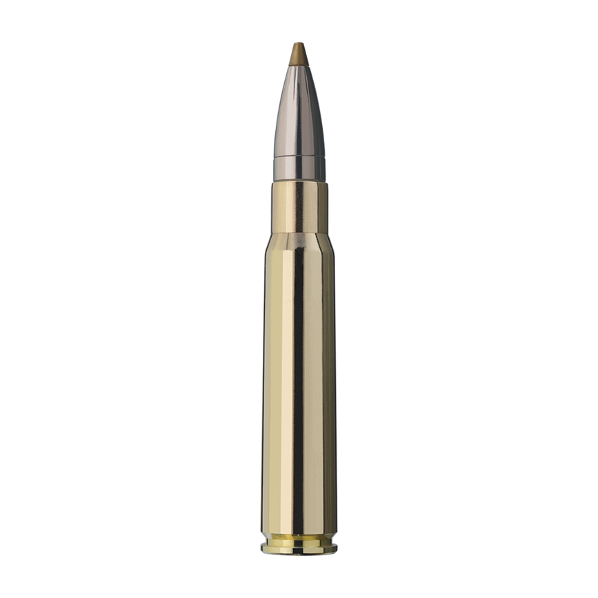 user_upload-rws-bilder-produkte-munition-buechsenpatronen-patronen-2318327_rws_8x57is_evo-green_9,0g_einzelpatrone-seite.png