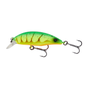 Fire Shrimp