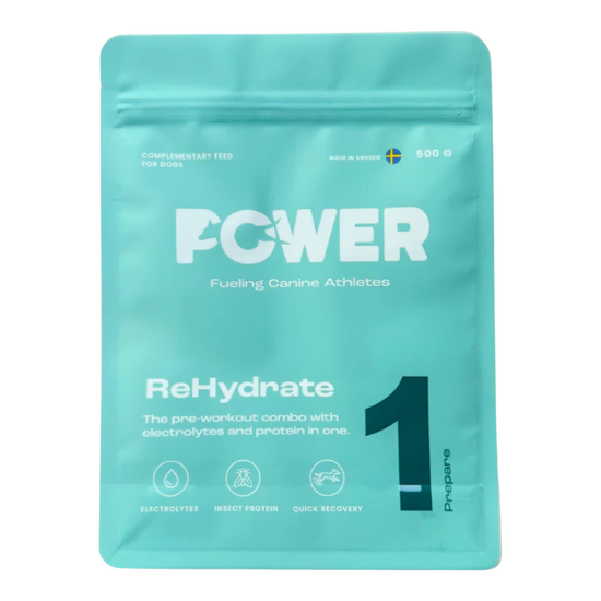 Rehydrate_b825fe59-0308-48c2-b668-6d102ceb8ab3_2048x2048.png