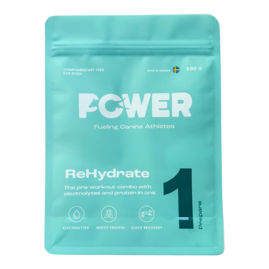 Rehydrate_b825fe59-0308-48c2-b668-6d102ceb8ab3_2048x2048.png