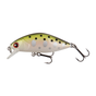 Trout