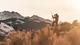 medium_cropped_wide-public-content-images-2023-02-veracity_ph_gallery_(4)_.webp.png