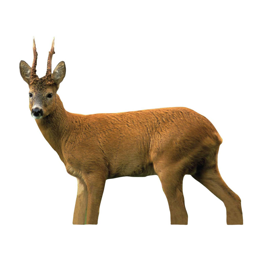 22-5117bockv.png