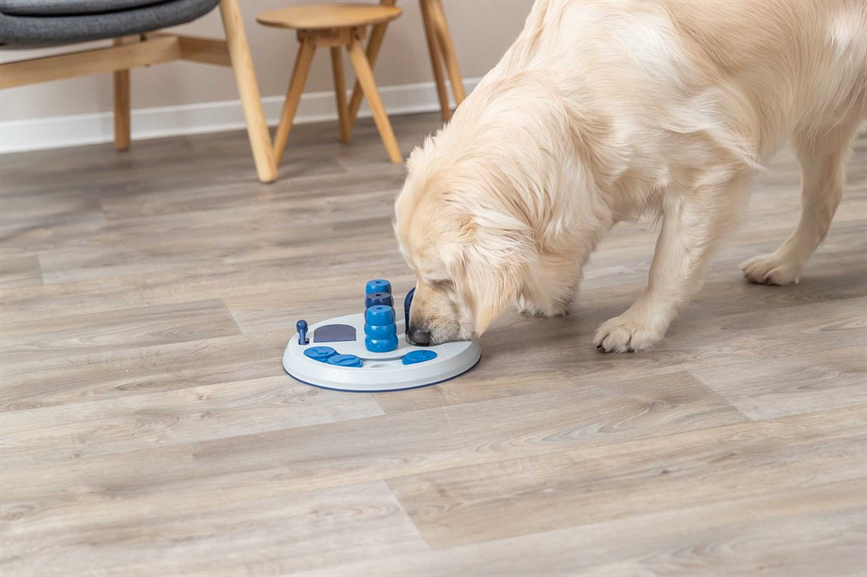 prod1000-dog_32053-7.png