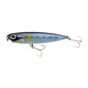 Sardine