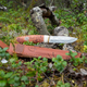 cdn-shop-files-906026-origpic-0ef8c6_1080x.png