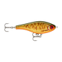 Scaled Roach