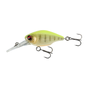 Fluorescent Yellow Tiger