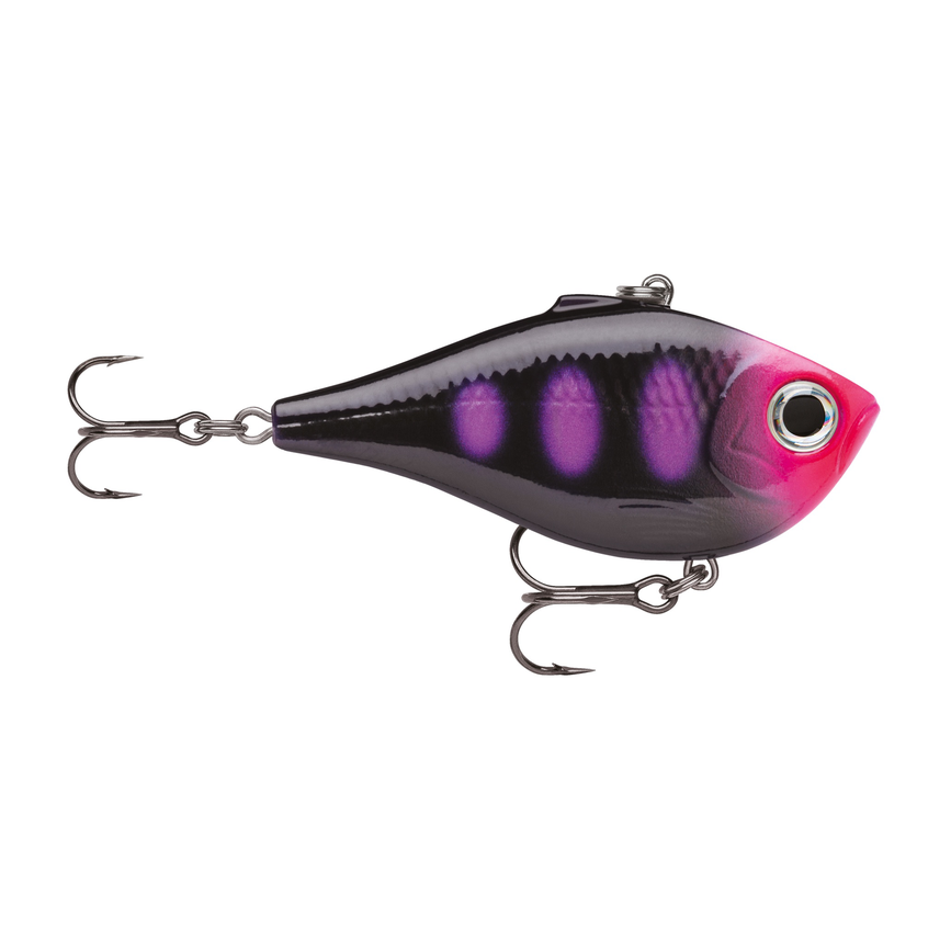 api-2000x2000,fit-new-137470.png