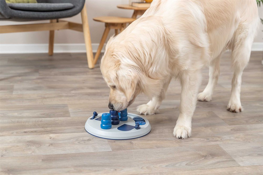 prod1000-dog_32053-2.png