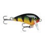 Perch