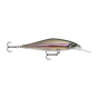 Live Smelt