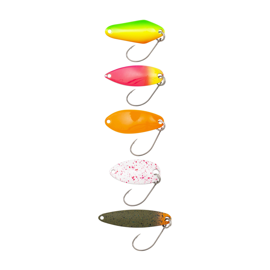 1550581_ms.png