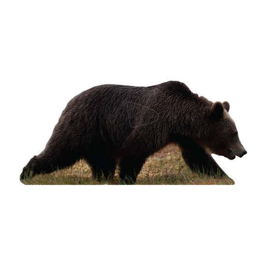 22-5101bjornh.png